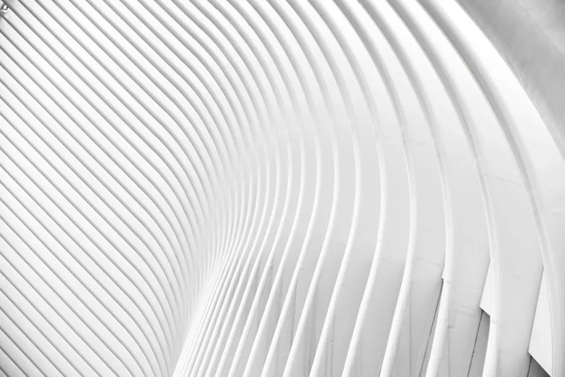 SaaS & Digital Tech